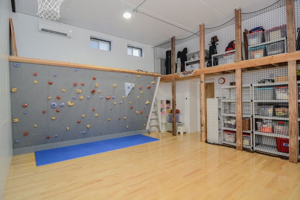 Home Gym climbing wall