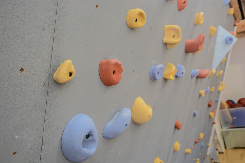 Home Gym climbing wall Details